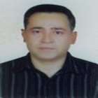 محمد هادی ثامنی